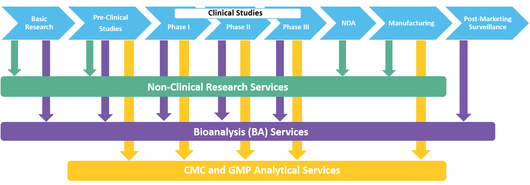 Clinical Studies Phases from CMIC