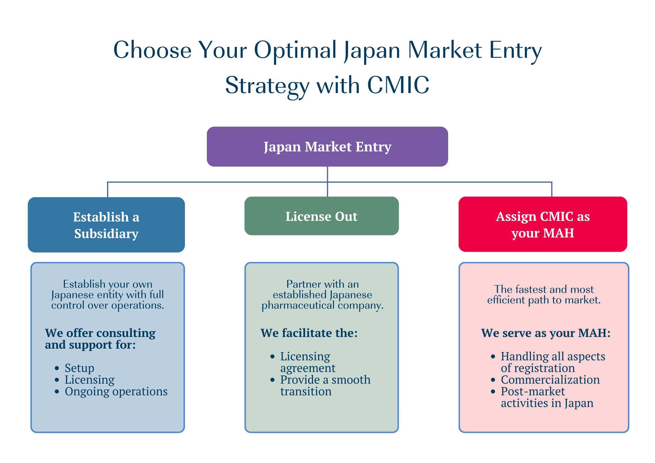 Optimal Japan Market Strategies with CMIC graphic