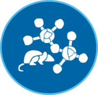 non-clinical services